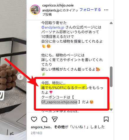 3月【※公式クーポン掲載】アンドプランツ（AND PLANTS）のクーポンコード徹底ガイド